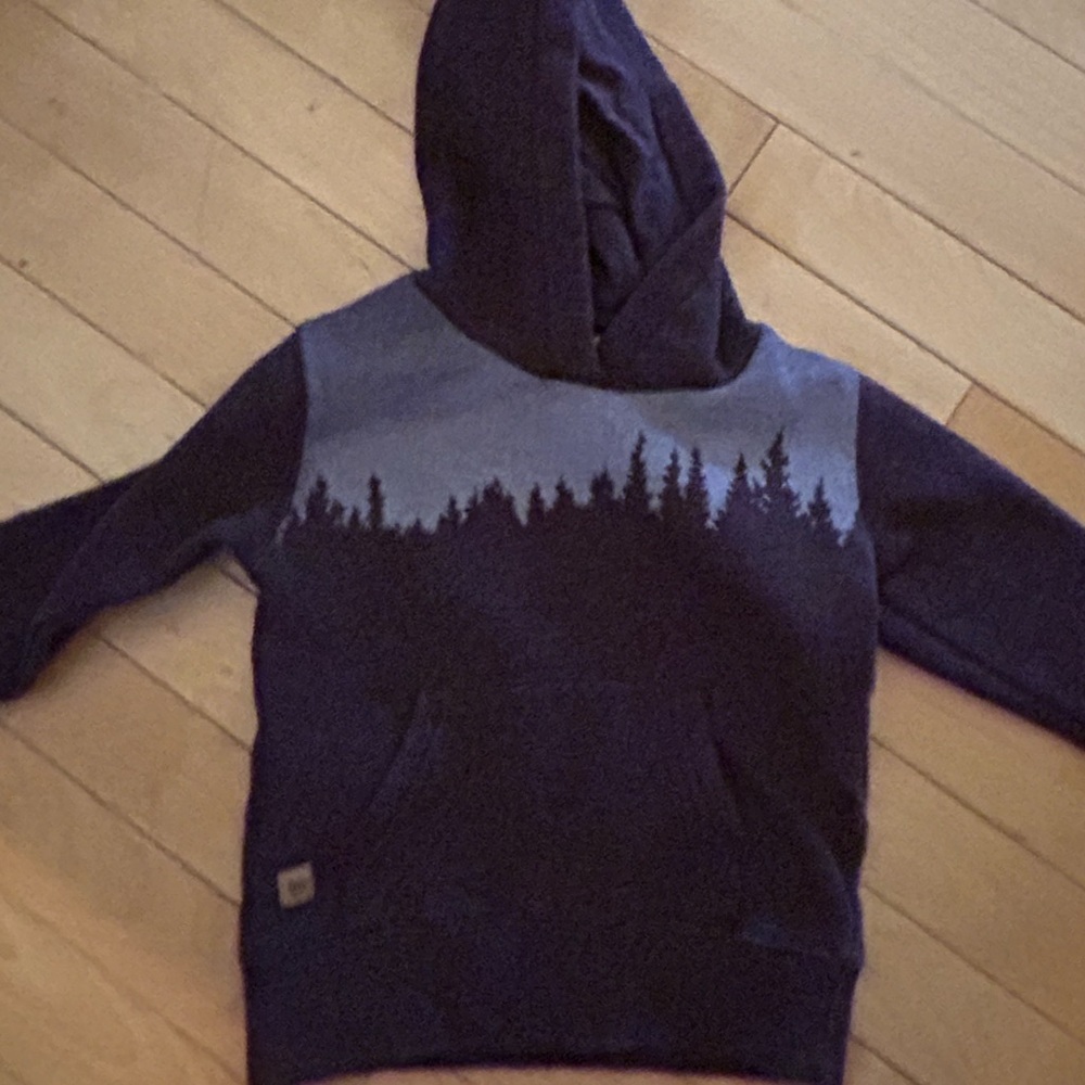 Toddler 2T TenTree hoodie